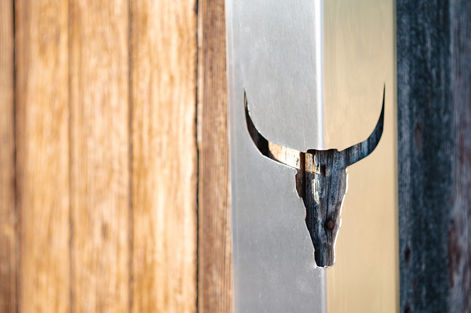 Steer Skull